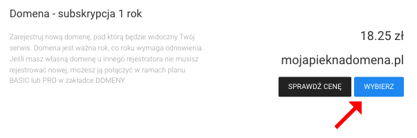 wybierz domenę internetową